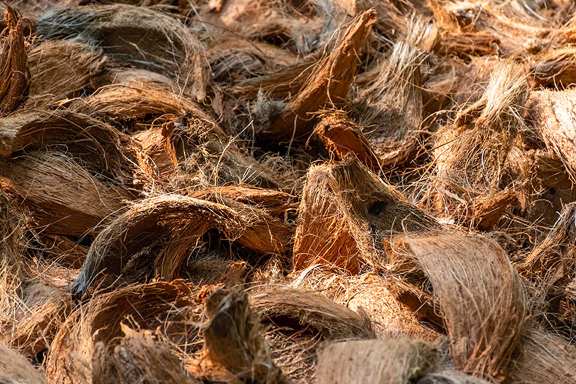 Coconut Fiber Image